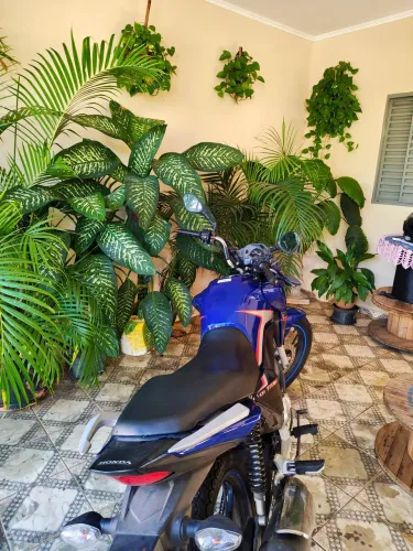 Moto 160