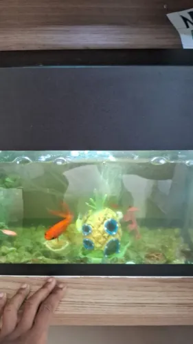 Aquário 40 cm com luz de led