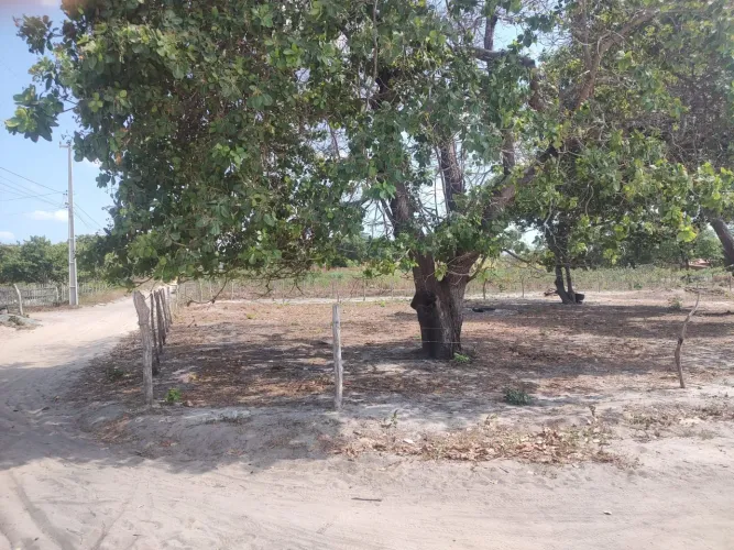 Terreno - Jijoca de Jericoacoara