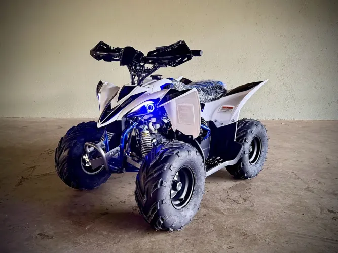 Quadriciclo Rhinno 110 0 km em 10 x no cartão (Crianças de 6 a 12 anos)