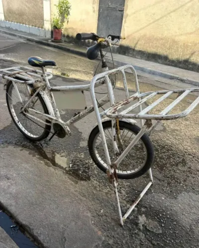 Bicicleta de carga