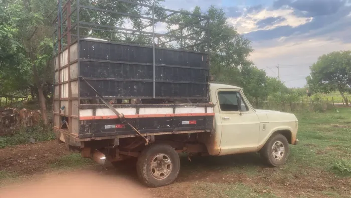 Chevrolet D-10 Diesel 1979