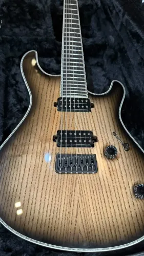 Guitarra Mayones Regius 7
