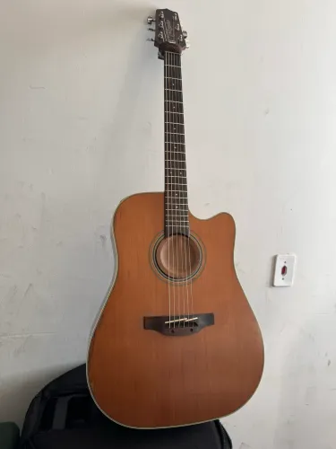 Takamine GD20CE-NS