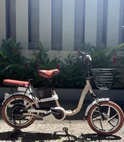 E-Bike lev dourada