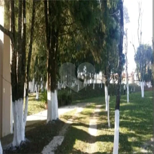 Sitio 2.380 m² 4 quartos Biritiba Ussu SP