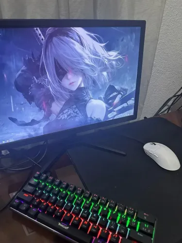 PC gamer 