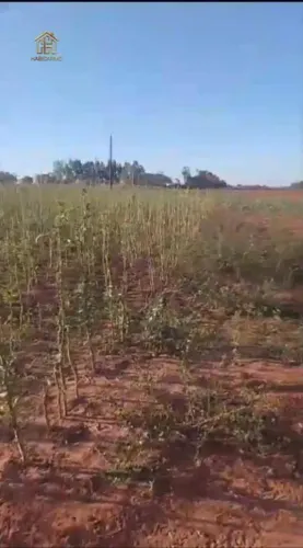 Sítio à venda, 193600 m² por R$ 900.000,00 - Zona Rural - Promissão/SP