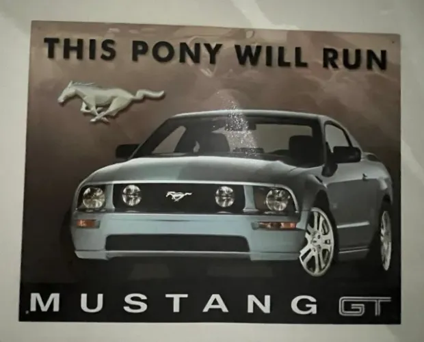 Placa de Metal Decorativa Ford Mustang GT e Shelby Cobra