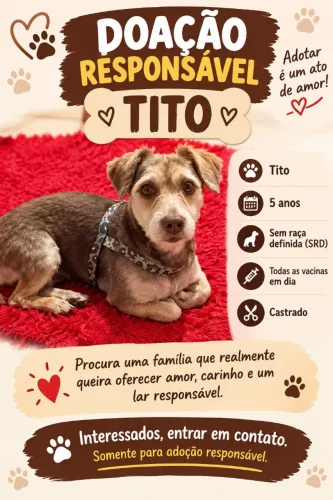 Doação...so para entrar em contato quem queria realmente adotar!!