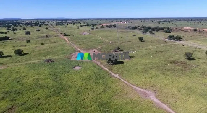 FAZENDA À VENDA - 2.500 HECTARES - JAÍBA (MG)