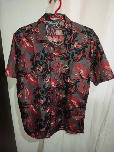 Camisa estampada