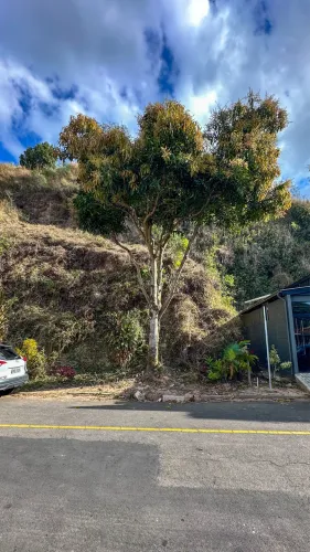 BAIRRO CERÂMICA - Lote 440 metros (Kátia Corretora)