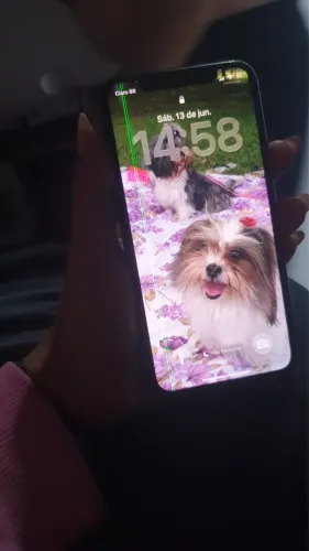 iPhone 11 Pro 