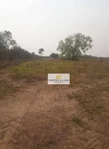 Excelente fazenda com dupla aptidão à venda na região do município de Lagoa da Confusão -