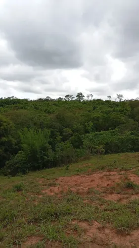 Terreno rural em Pitangui 