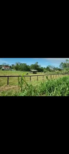 Perto das praias e cachoeiras otimo praquem gosta de descanso e fazer uma lida terrenio