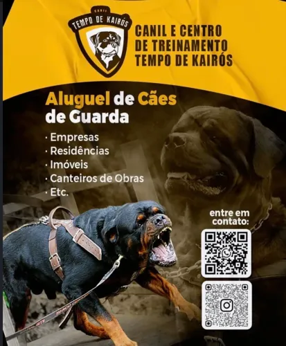 Adestramento de Cães Hospedagem