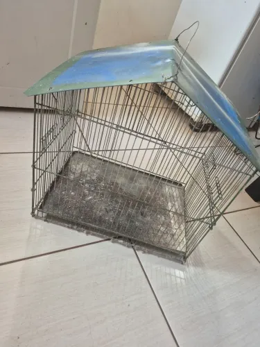 Gaiola pra pássaros