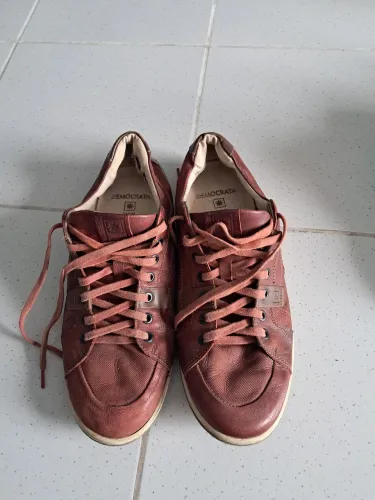 Sapatenis Democrata 43