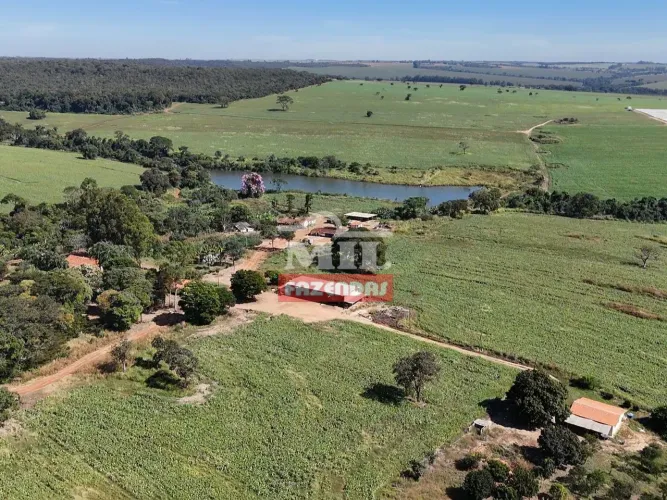 Fazenda 146,6 alqueires (710 hectares) Silvania - GO