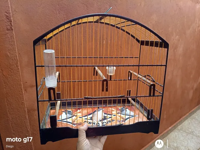 Gaiola de passeio 