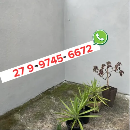 PINTOR DISPONIVEL