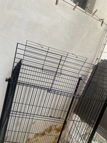 Viveiro Grande para Papagaio, Calopsita e Outras Aves