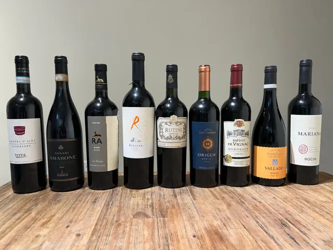 Lote vinhos
