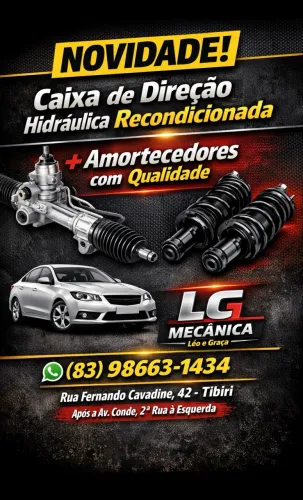 Caixa de direção e amortecedor