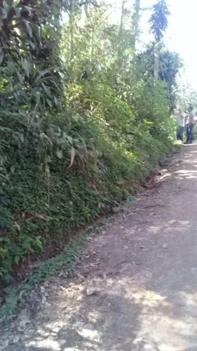 Terreno 2153m²., vizinho ao Condomínio Green Ville, a 5 min de Embu das Artes, permuta por