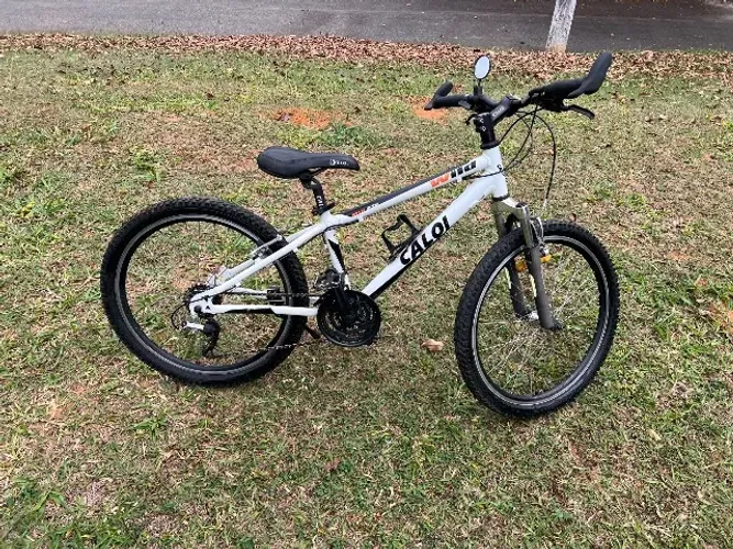 Bicicleta Mountain Bike Infantil CALOI Wild 21v Aro 24