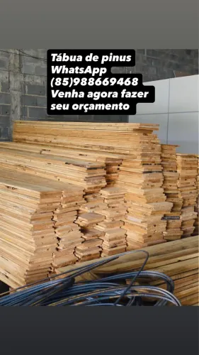 Tábua de pinus