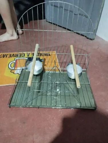 Gaiola puleiro para papagaio 