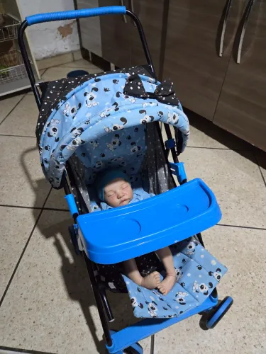 Conjunto bebe reborn e carrinho