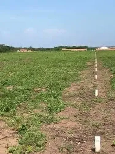 VENDE-SE ou TROCA LOTE NA PRAIA DA LAGOINHA