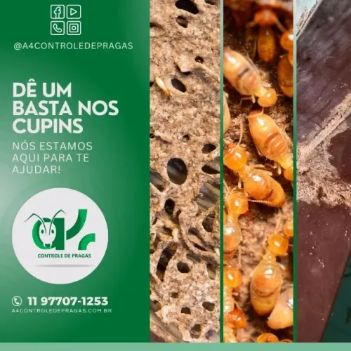 Livre-se das Pragas com Quem Entende do Assunto!