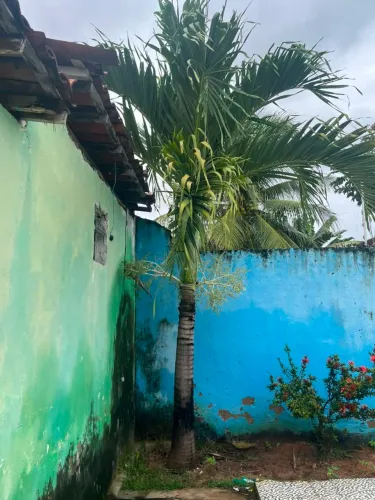 Venda de Planta