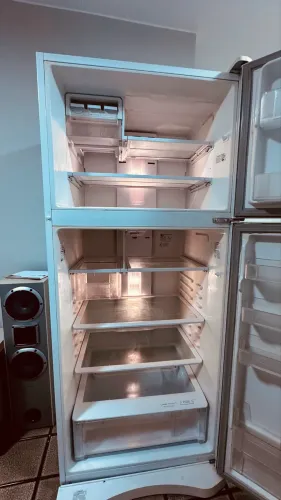 Electrolux DF80 Frost Free