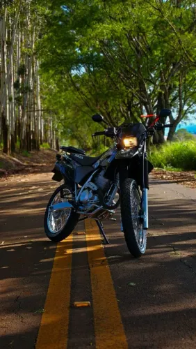 Tornado 250