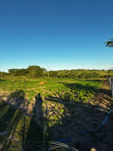 sítio em Serra Preta