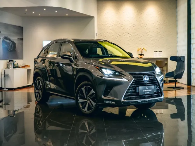 Lexus NX-300 Luxury 2.0 16V 238cv Aut. 2019