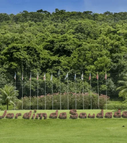Jazigo Cemitério Jardim da Saudade Paciência