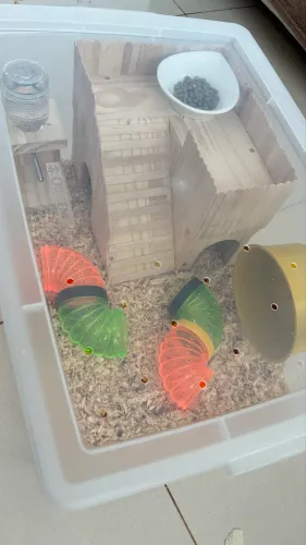 Terrário de hamster 