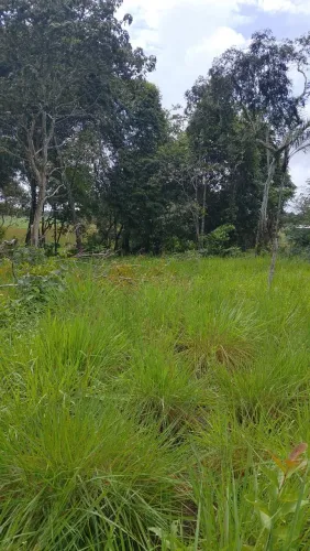Terreno