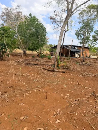 Chácara em Taquaruçu 3. Alqueres