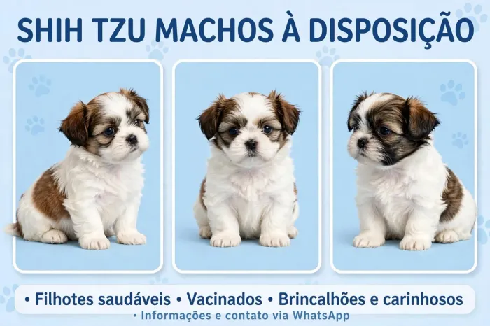 Lindos filhotes ?