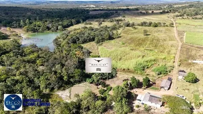 Chácara à Venda em Vila Propício GO | 8 Alqueires | Oportunidade