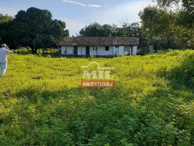 Fazenda 900 Alqueires (4.356 Hectares) Taipas - To