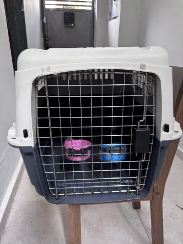 Caixa de transporte para cachorro e gato avião modelo IATA